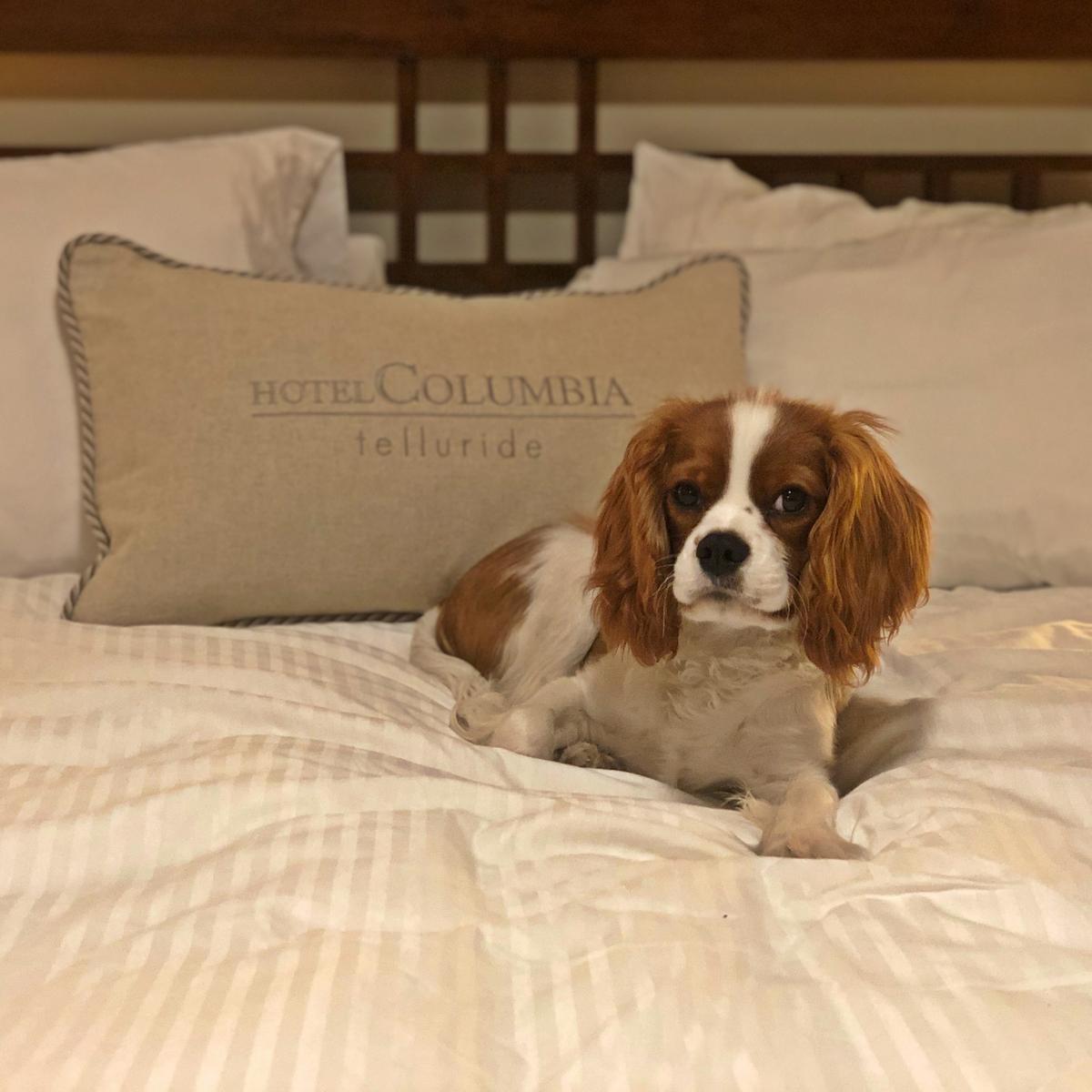 Paul On The Bed