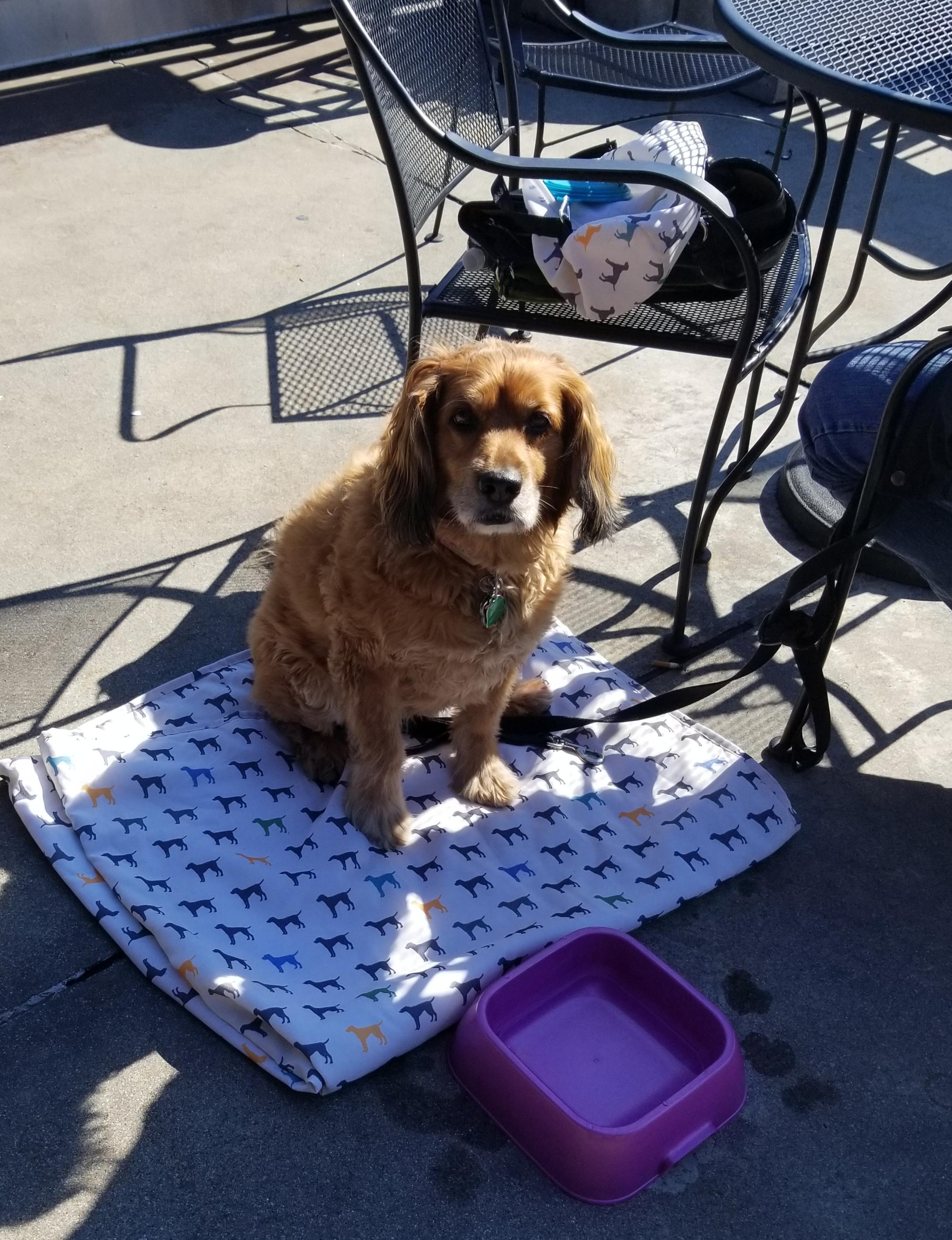 Cleo Is Visiting Her Favorite Brew Company