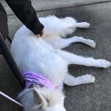 Seaside Brewing Company restaurant view 5