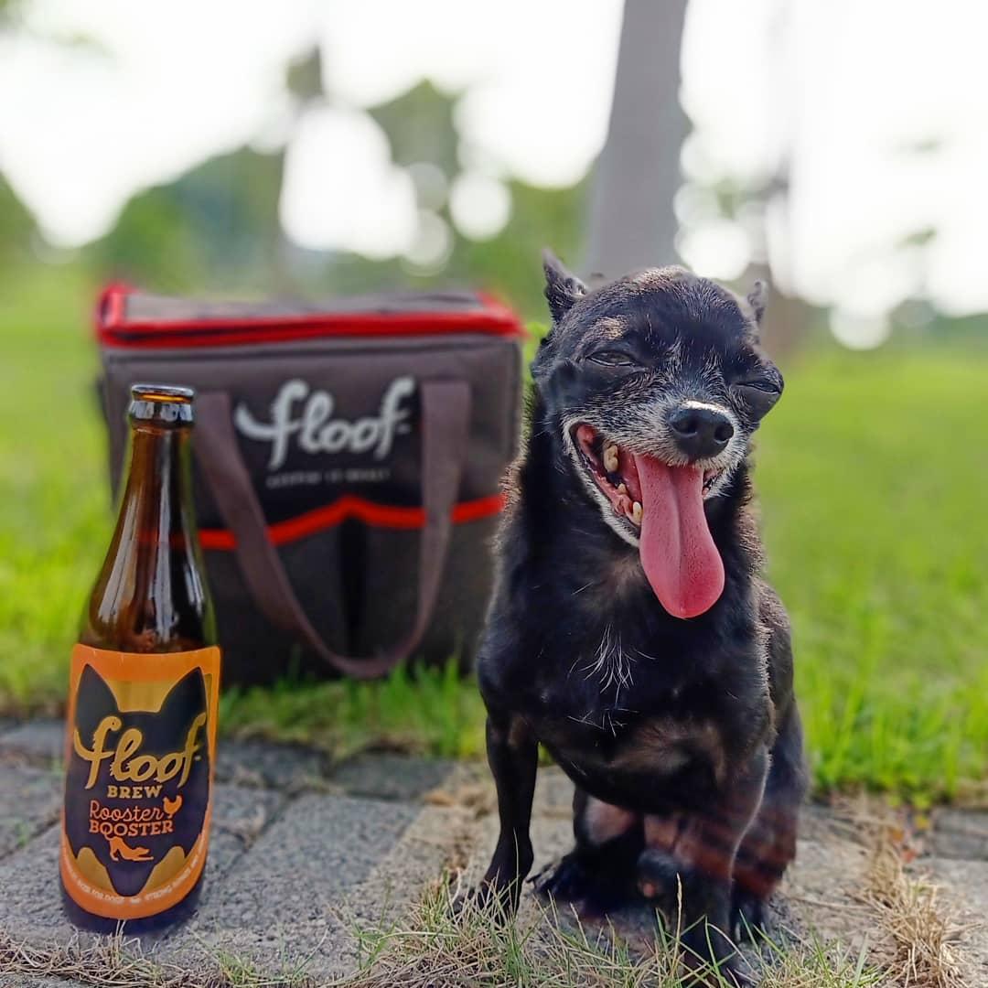 Beer Buddy Collar Charm