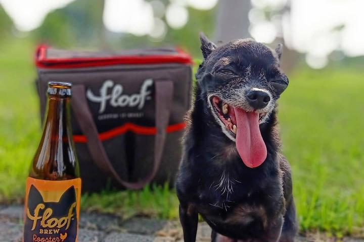 Floof brand dog beer is made using only natural and fresh human-grade ingredients.