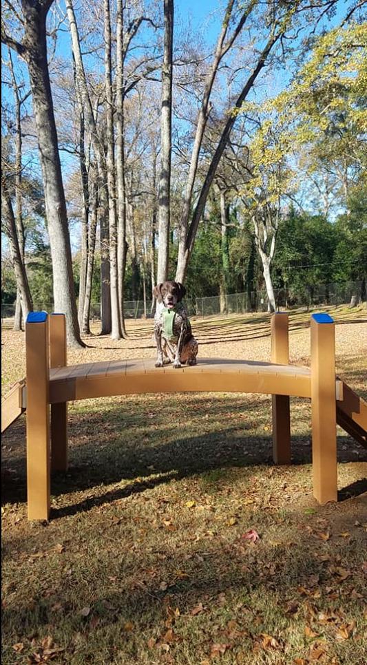 Jake At Noma Bark Park