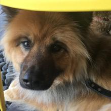 LuLu California Bistro restaurant view 2