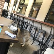 The Tavern at Lakeside restaurant view 4