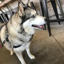 The Tavern at Lakeside restaurant view 3