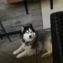 The Tavern at Lakeside restaurant view 2