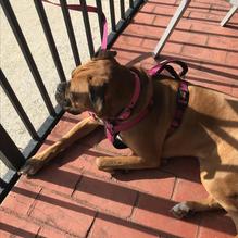 Italian Cafe restaurant view 1