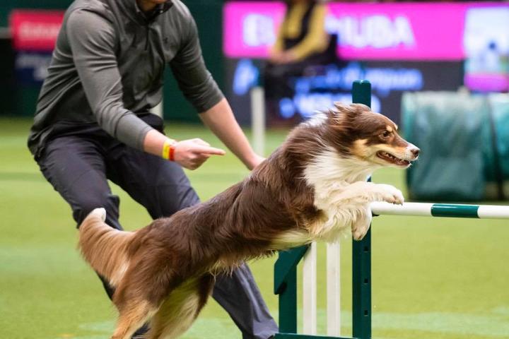 Jumping for joy.