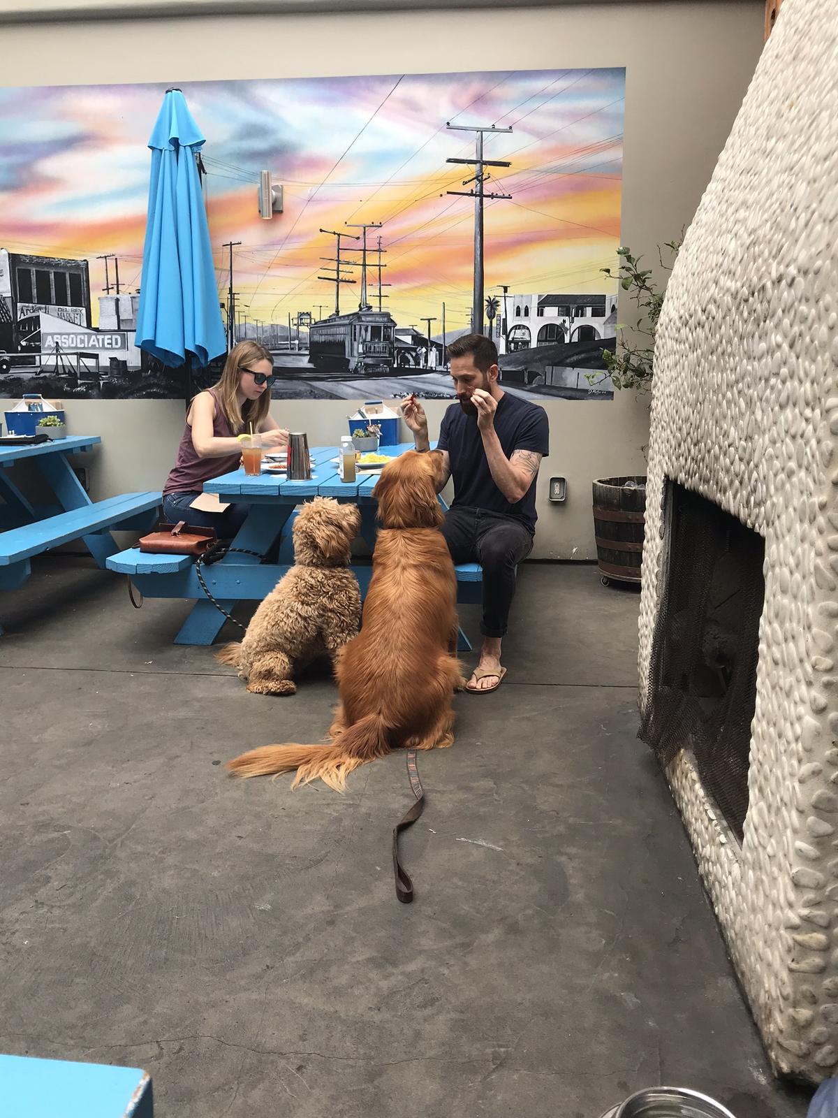 Playa Provisions restaurant view 2
