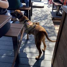 BoomerJack's Grill & Bar restaurant view 1