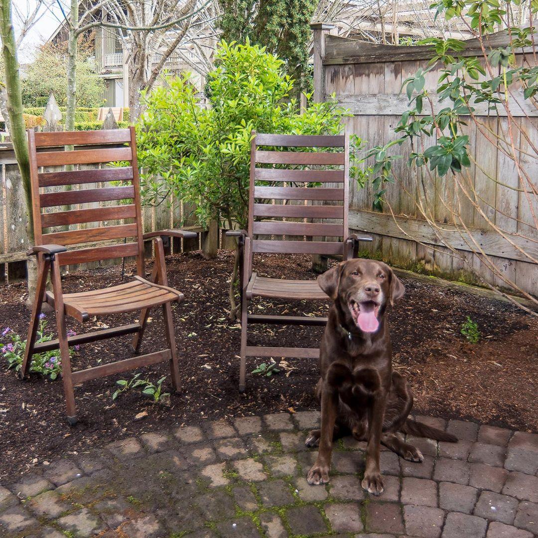 Hotels With Awesome Dog Parks
