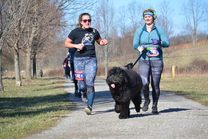 Sprint With Your Spaniel: 10 Dog-Friendly Spring Runs