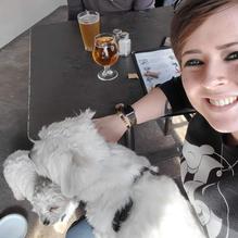 Mudhook Brewing Company restaurant view 3