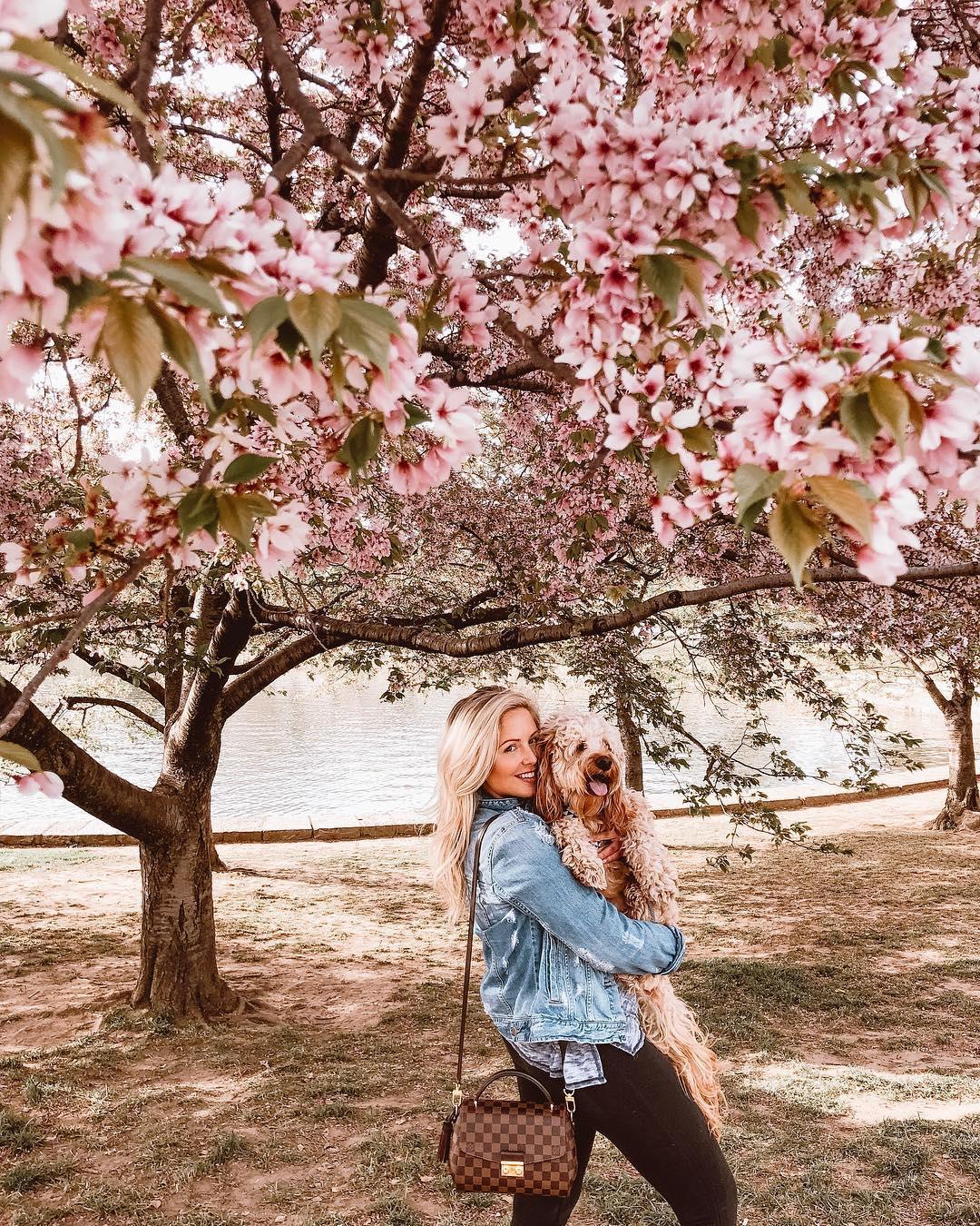 National Cherry Blossom Festival 2020 FAQs - Nonpartisan Pedicab