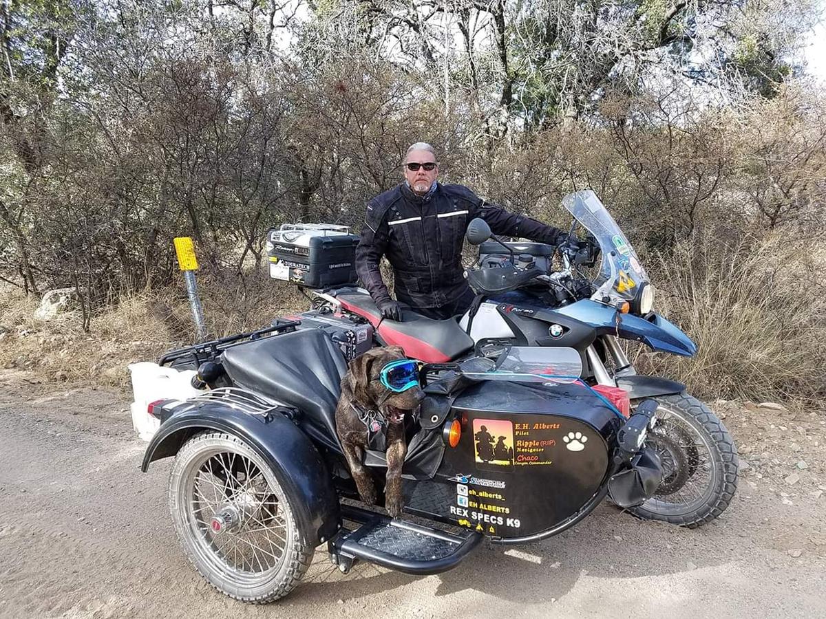 Motorcycle with sidecar dog outlet