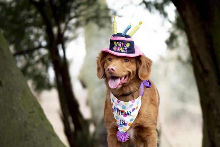 “My hat game is unbeatable.”