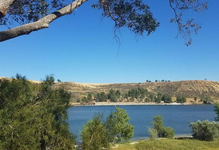 Pet Friendly Castaic Lake State Recreation Area