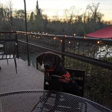 The Pump House Riverside Restaurant and Bar restaurant view 2