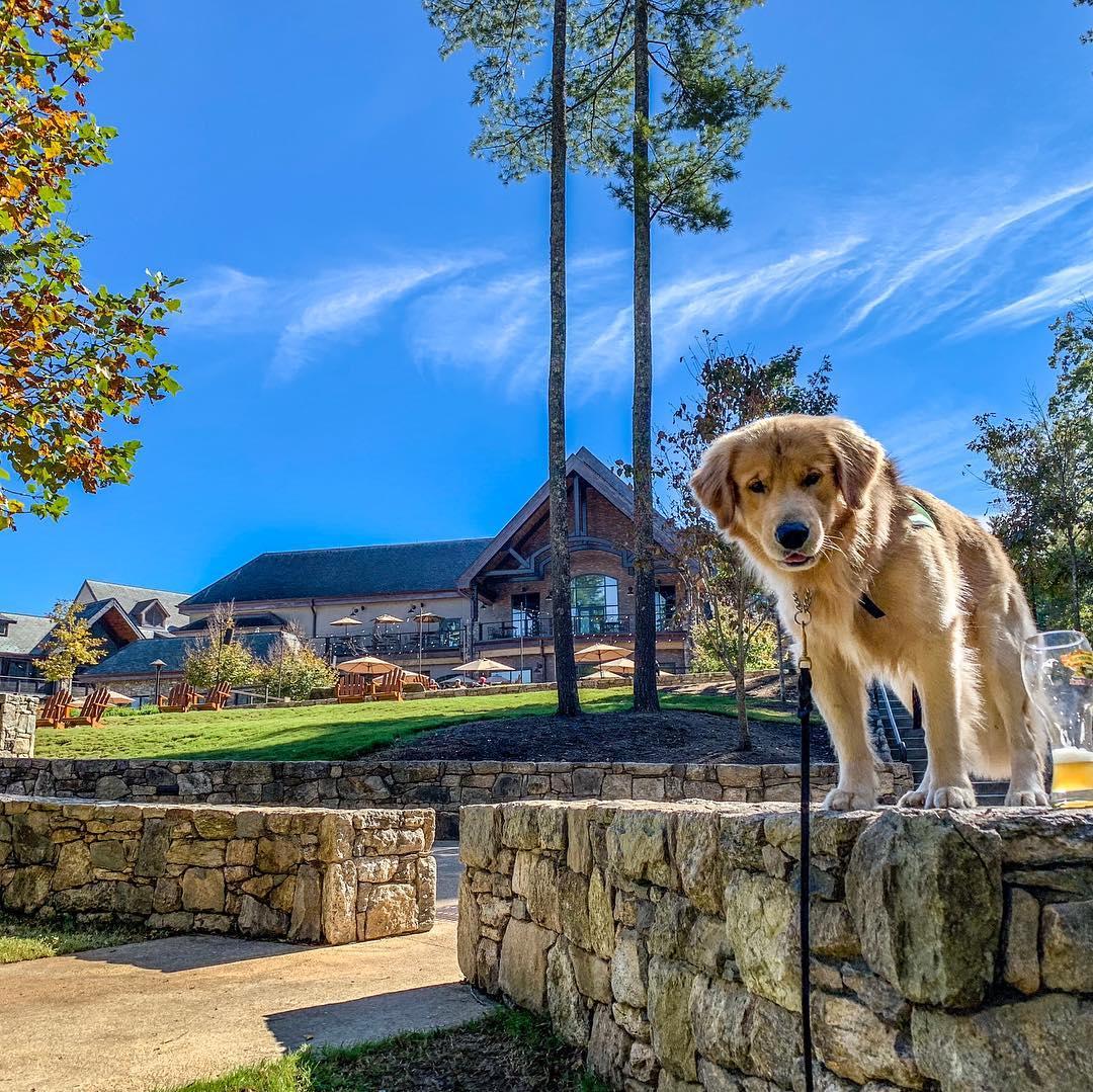 Exploring Pet Friendly Sierra Nevada Brewing Co