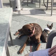 Santiago's Florida Kitchen & Craft Bar restaurant view 2