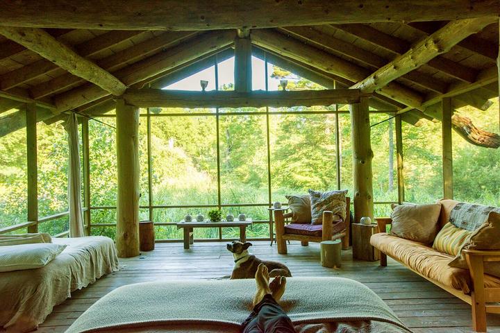 A Man and Dog Lounge In a Pet-Friendly Airbnb in Massachusetts.