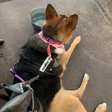 Cicada Cantina restaurant view 3