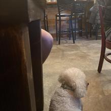 Pine Island Tap House restaurant view 3