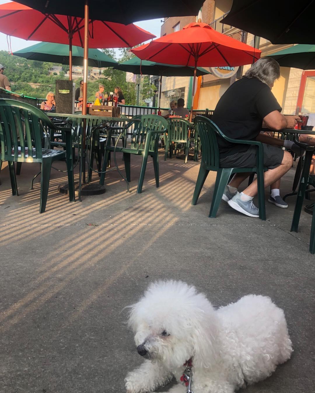 Waxy O'Shea's Irish Pub restaurant view 4