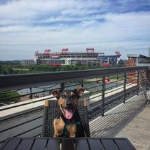 Rock Bottom Restaurant & Brewery restaurant view 1