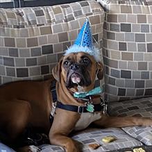 Tavern at Towne Lake restaurant view 5