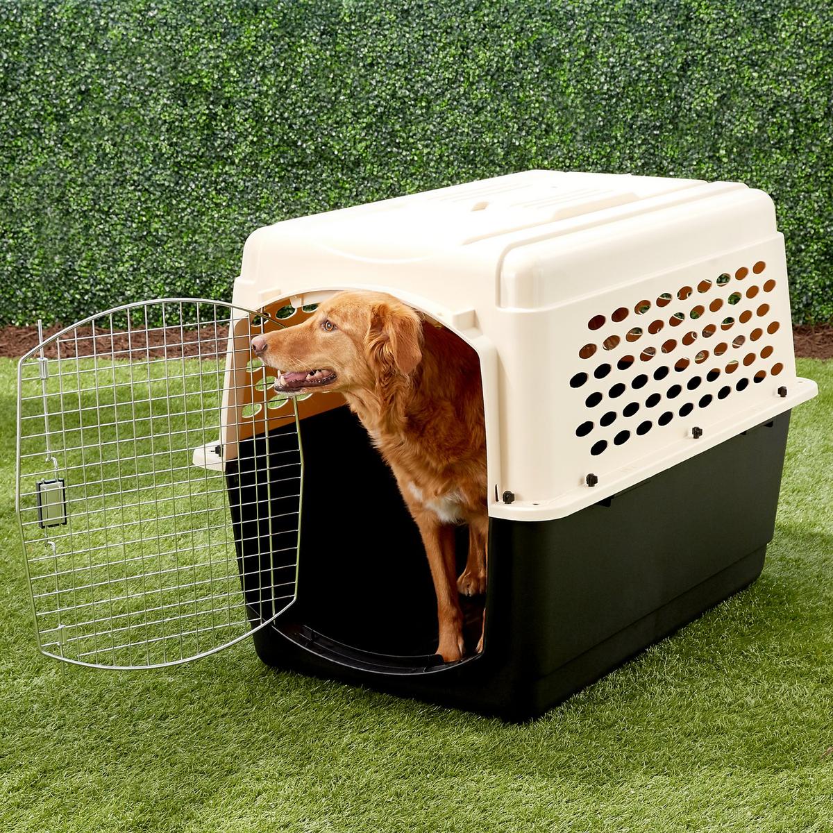 Chewy cat hot sale crate