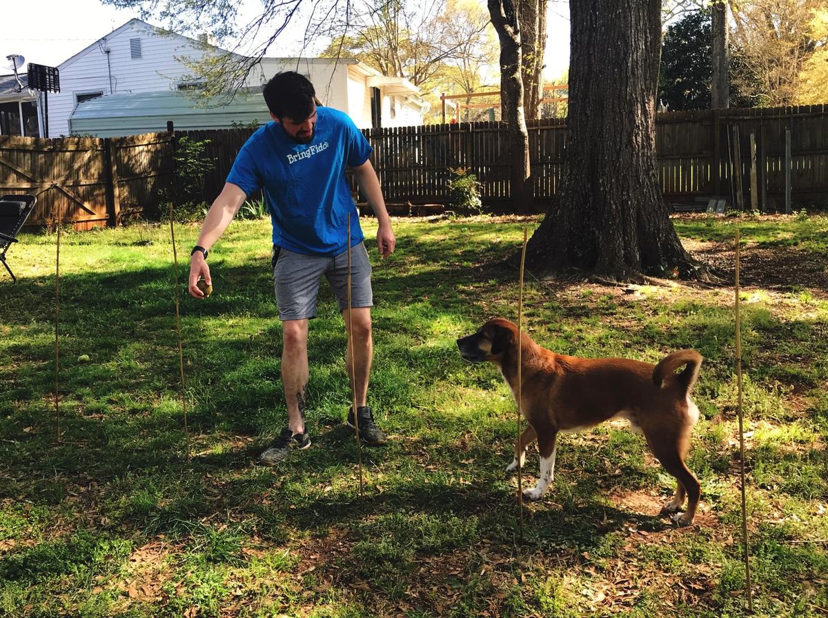 Made a little dog tower!  Dog yard, Diy dog yard, Dog rescue idea