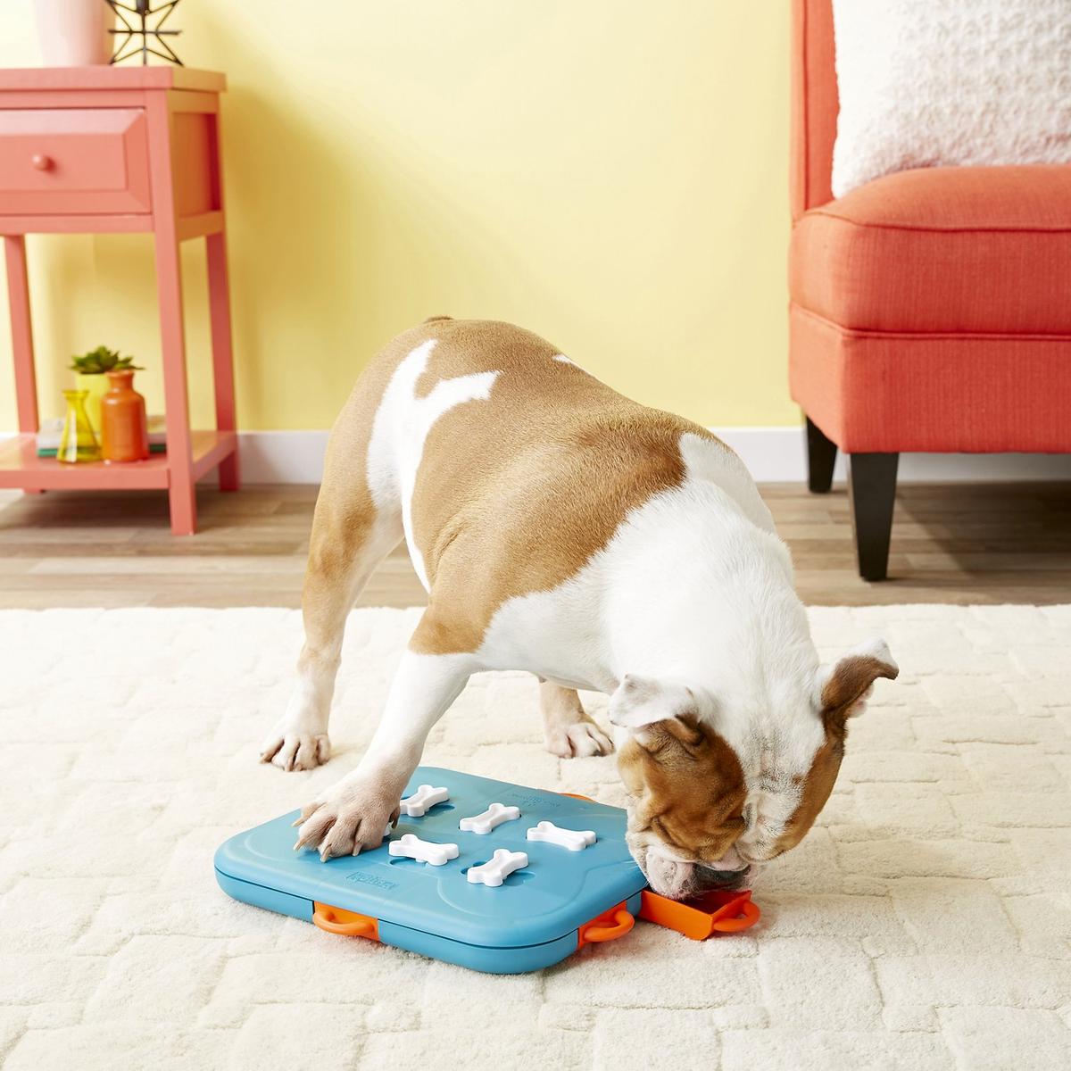 Furryfido interactive dog outlet toy