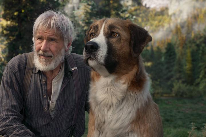 A still from the movie "The Call of the Wild."