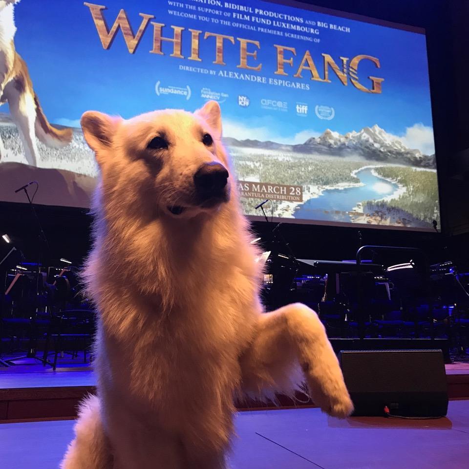 https://photos.bringfido.com/photo/2020/04/16/WhiteFangNetflix.jpg?size=entry&density=1x