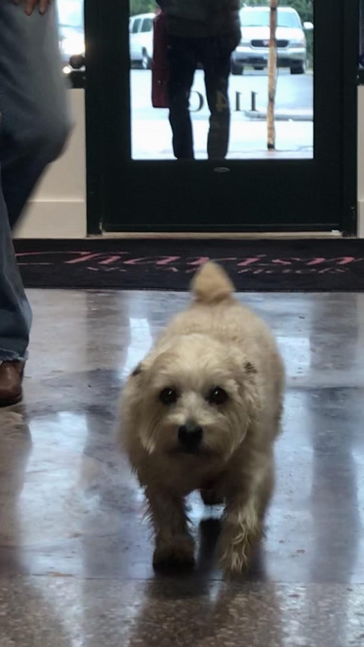 Happy-Go-Lucky...that’s Wyatt!