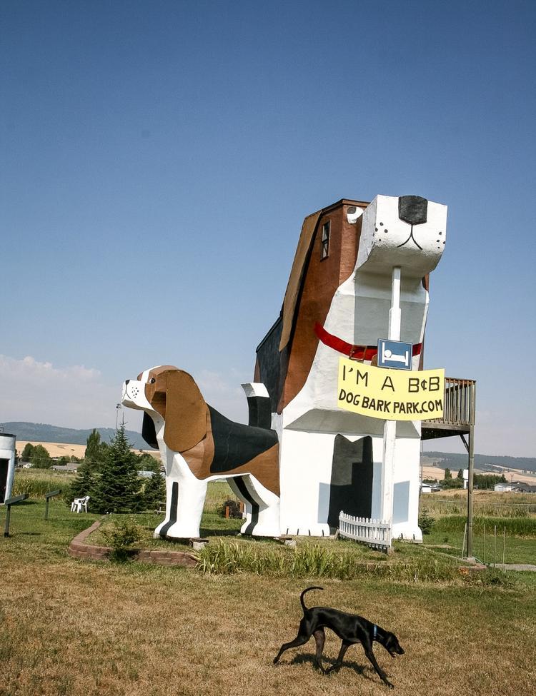 BringFido's Ruff Guide to Idaho - BringFido