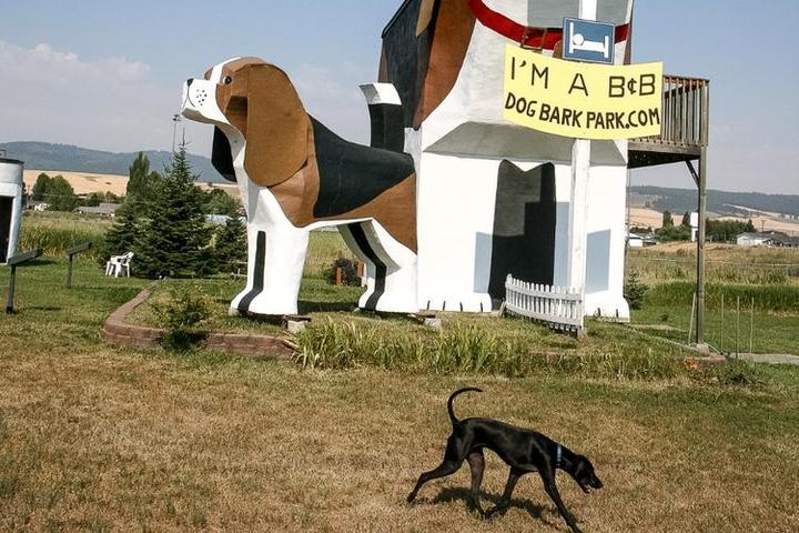 A Black Dog Runs In Front of the Dog-Shaped Dog Bark Park Inn B&B.