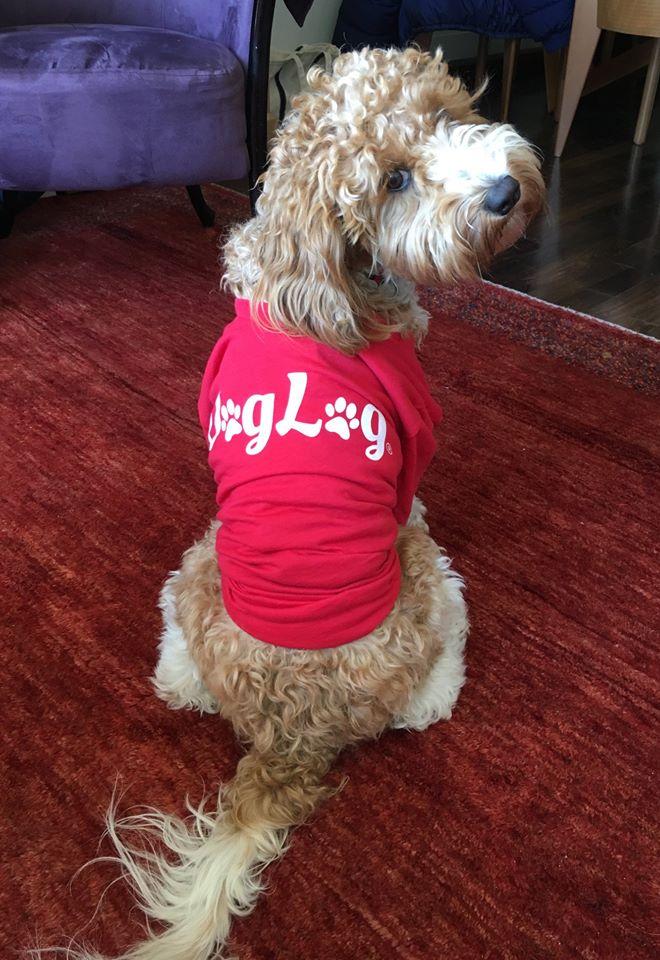 There’s An App For That: The 9 Best Apps For Dogs