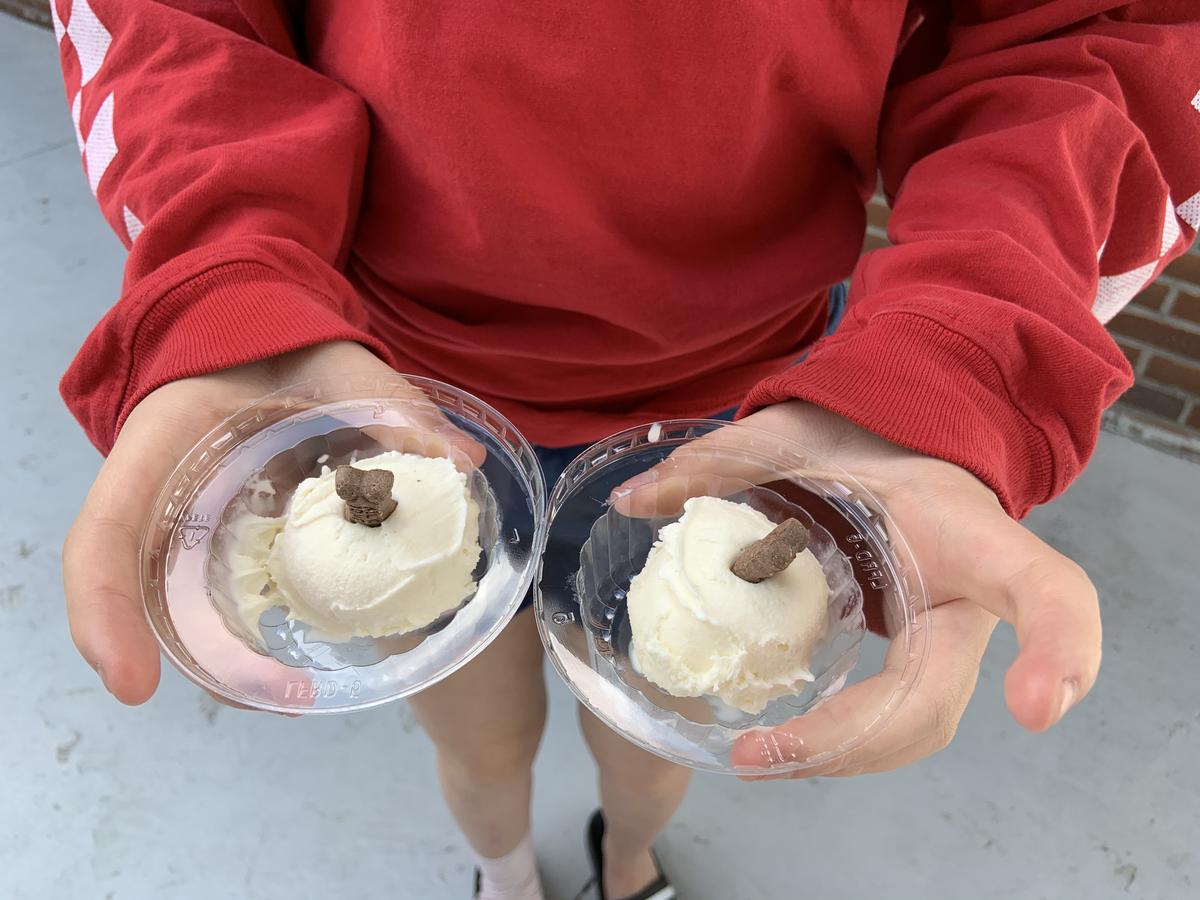 Bruster's Real Ice Cream restaurant view 1