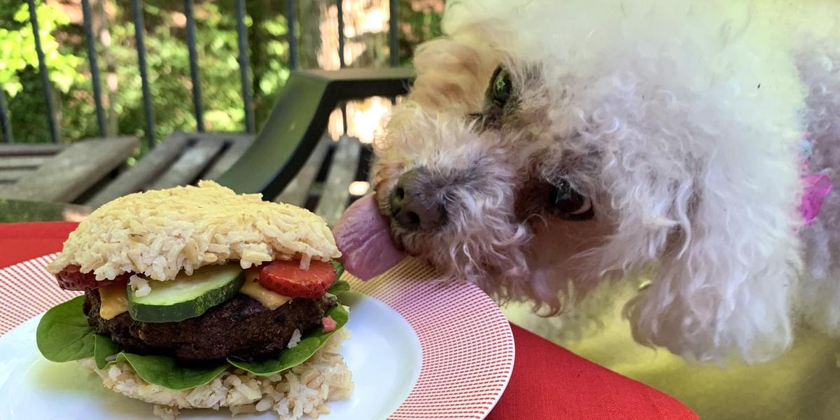 Can dogs eat cooked clearance hamburger