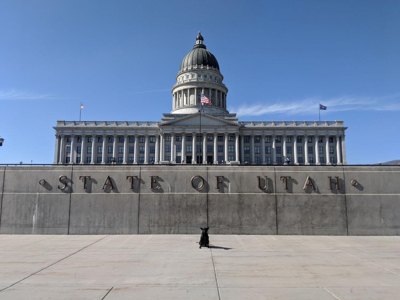 A dog poses in front of the State Capitol in Salt Lake City.