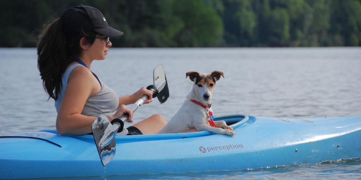 10 Kayak and Canoe Rentals Where You Can Paddle With Your Pug