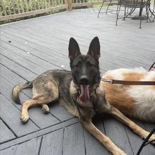 Tavern at Towne Lake restaurant view 4