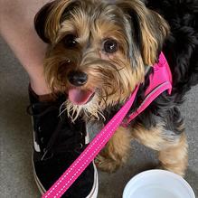 Railroad Seafood & Brewing Co. restaurant view 4