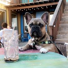 Island Joes Coffee and Gallery restaurant view 2