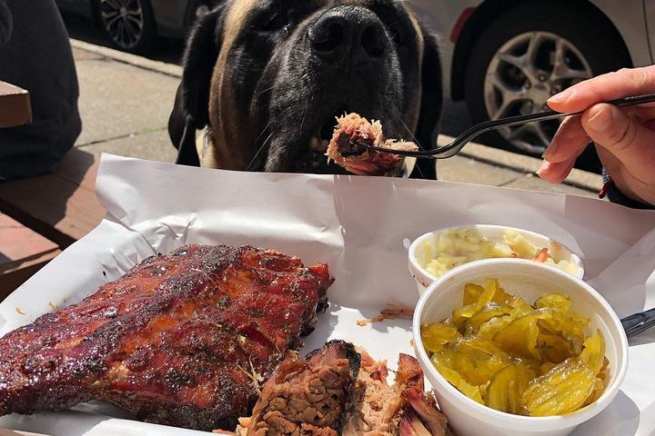 A Dog Eats a Bite of BBQ at a Pet-Friendly BBQ Restaurant in Saint Louis.