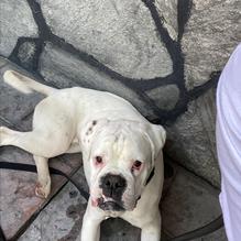 The Mexico Cafe restaurant view 1