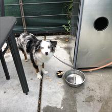 University of Beer restaurant view 3