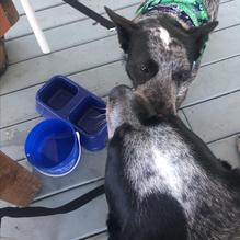 Miller's Landing Lakeside restaurant view 2